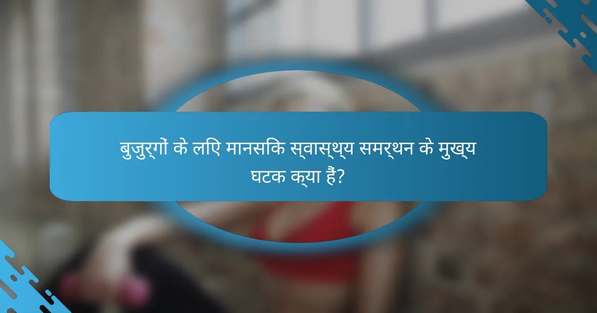 बुजुर्गों के लिए मानसिक स्वास्थ्य समर्थन के मुख्य घटक क्या हैं?